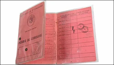 Qui chante ''Sans permis'' ?