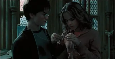 Combien de tours devraient suffire avec le retourneur de temps pour sauver Sirius et Buck ?