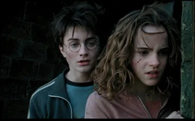 Après avoir remonté le temps, Harry et Hermione devaient savoir où ils se trouvaient à 19 heures et demi. Où étaient-ils ?