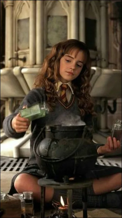 Quel est le cours qu'Hermione suit en même temps que la divination ?
