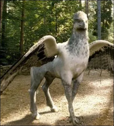 Quelles sont les deux caractéristiques (non physiques) d'un hippogriffe selon Hagrid ?