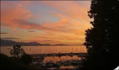 Aimes-tu te lever tôt le matin ?