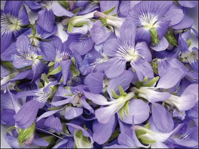 C'est vrai, le violet est souvent qualifié de couleur non spectrale, mais pourquoi ?