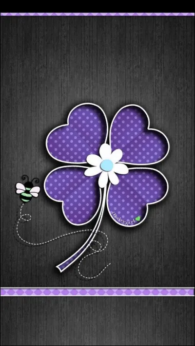 Le violet est la couleur qui porte bonheur.