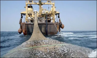 Lequel de ces livres est de Dore Gwenael ?