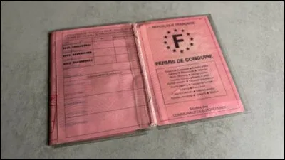 Lequel de ces anciens présidents de la République n'a jamais obtenu son permis de conduire ?
