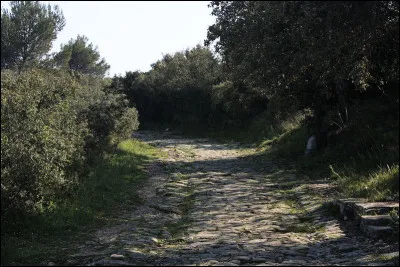 Quel est le nom de cette voie romaine, conservée ici au site d'Ambrussum dans l'est de l'Hérault, qui parcourait l'actuel département à l'époque romaine ?
