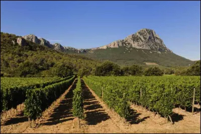 Quel est ce sommet rocheux, situé à environ 20 km au nord de Montpellier, culminant à 658 m et visible d'une grande partie du département de l'Hérault ?