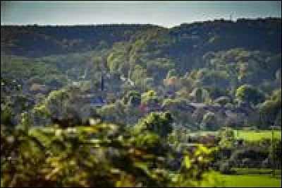 Quelle est cette région naturelle, constituée de collines boisées, qui borde le département à l'est ?