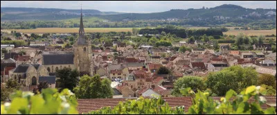 Quelle est cette petite ville de 5 100 habitants, située dans la vallée de la Marne, l'un des principaux pôles de l'industrie des vins de Champagne ?