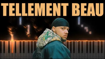 Qui chante "Tellement beau" en 2007 ?