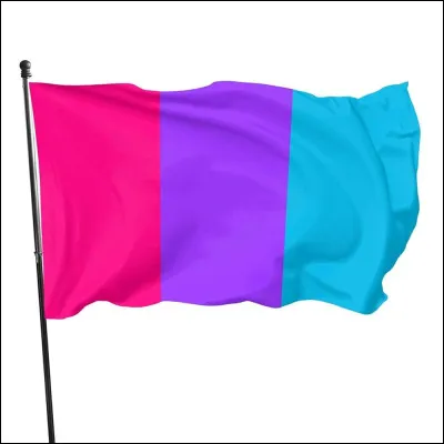 Quel est ce drapeau LGBTQ+ ? Celui des...