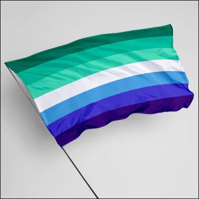 Quel est ce drapeau des LGBTQ+ ? Cest celui des