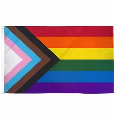 Ce drapeau est le drapeau LGBT ou LGBTQ+ ? Celui des...