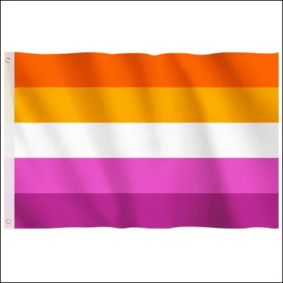 Quel est ce drapeau LGBTQ+ ? Celui des...