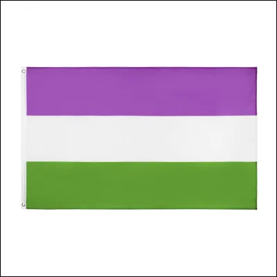 Quel est ce drapeau LGBTQ+ ? Celui des...