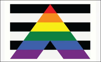 Quel est ce drapeau LGBTQ+ ? Celui des...