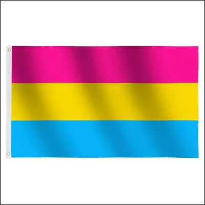 Quel est ce drapeau LGBTQ+ ? Celui des...
