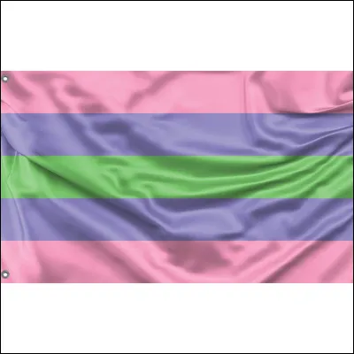 Quel est ce drapeau LGBTQ+ ? Celui des...