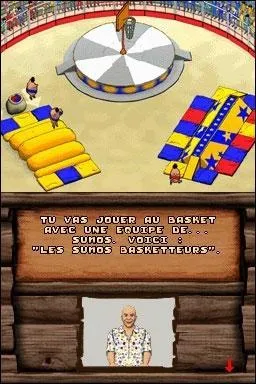 De quel jeu de Nintendo DS provient cette image ?