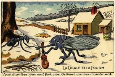 Complétez : La Cigale et...