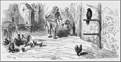 Complétez : Le Faucon et...