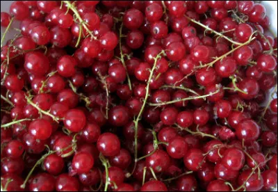 Quelle est la capitale de la groseille située dans le département de la Meuse ?