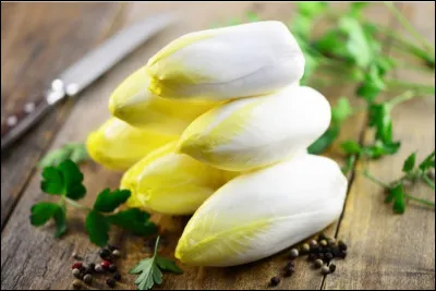 Quelle est la capitale du chicon située dans le département du Nord ?