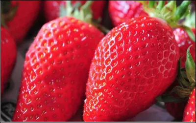 Quelle est la capitale de la fraise située dans le département du Finistère ?