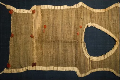 Quel, est le nom de ce vêtement de tissu rugueux fait de poils de chèvre et porté sous la forme d'un maillot de corps ou comme une ceinture autour des reins, dans un but de mortification et de pénitence ?