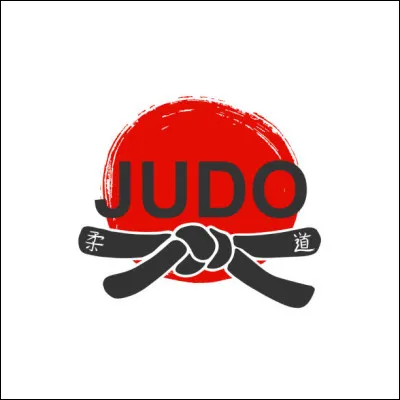 Au judo, de quelle couleur est la ceinture des débutants ?