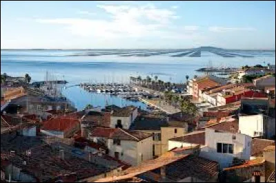 Je vous propose une halte au bord de l'étang de Thau, à Mèze. Ville de la métropole Montpelliéraine, elle se situe dans le département ...