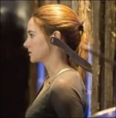 Et enfin, la faction dorigine de Tris est :