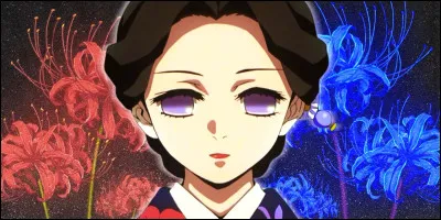 Ce personnage est une :