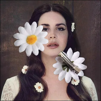 Quel type de visuel préfères-tu ?