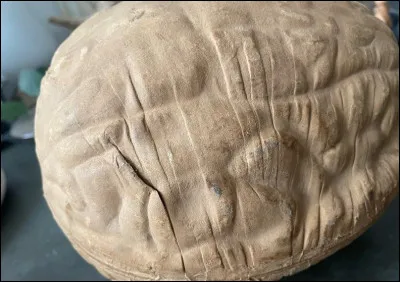 De quoi le carton-pâte est-il composé ?