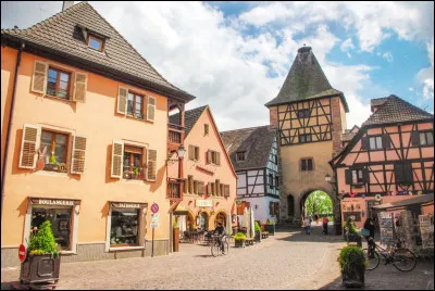 Quelle est cette petite ville, situ&eacute;e &agrave; l'ouest de Colmar dans la vall&eacute;e de la Fecht, &eacute;tape de la route des vins d'Alsace ?