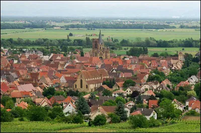 Quelle est cette petite ville de 4 000 habitants, ancienne possession des princes-&eacute;v&ecirc;ques de Strasbourg, situ&eacute;e entre Colmar et Mulhouse ?