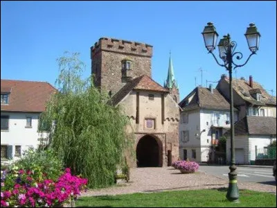 Quelle est cette ville de 11 000 habitants, arros&eacute;e par la Thur et bord&eacute;e &agrave; l'ouest par le massif vosgien ?