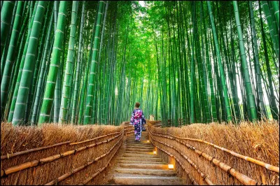 A quel chanteur doit-on le titre "Bambou" en 1981 ?