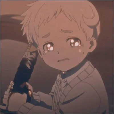 Quel est le numéro didentification de Norman ?