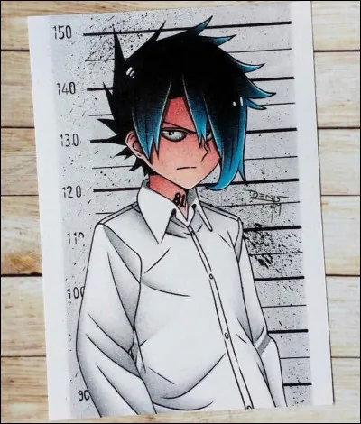 Quel est le numéro didentification de Ray ?