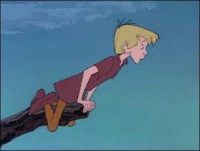 Volez vers la bonne réponse !