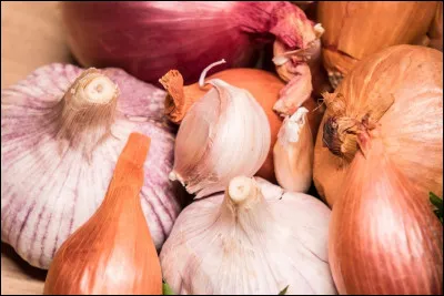 La c&eacute;bette est une vari&eacute;t&eacute; de...