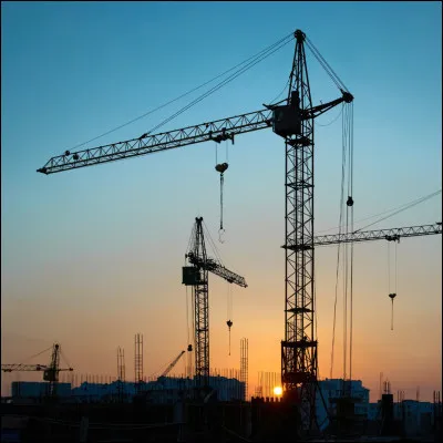 La grue est un appareil de levage mais aussi un animal, lequel ?