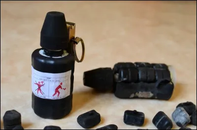 Quel est le nom de ces grenades à main utilisées par les forces de l'ordre pour repousser les manifestants ?
