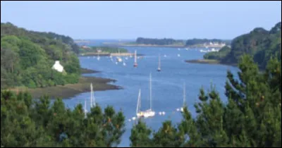 Cette partie de la c&ocirc;te nord du Finist&egrave;re, qui tient son nom des rias ou estuaires qui l'entaillent, se nomme la c&ocirc;te des ...
