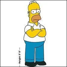 Comment s'appelle Homer ?