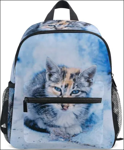 Comment dit-on "un sac" en espagnol ?