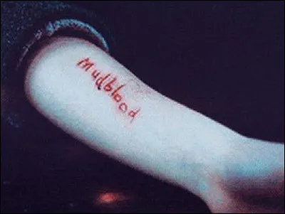 Et enfin, quel est le statut de sang de ton ami(e) ?